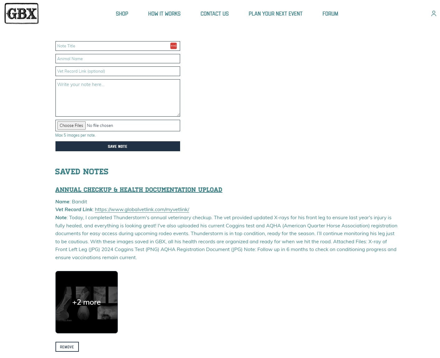 GBXpress Subscription - Monthly
